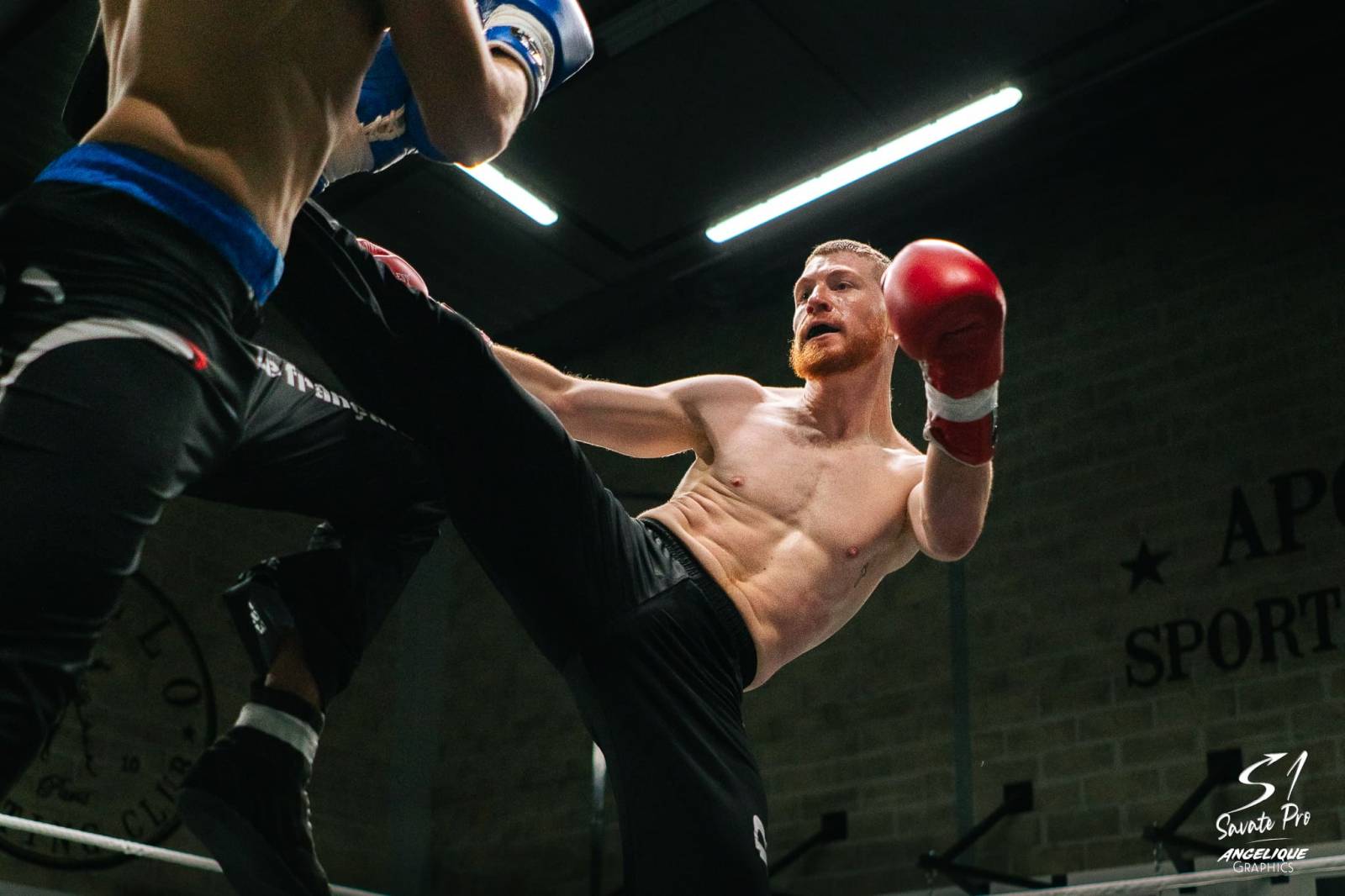 Le challenge des novices